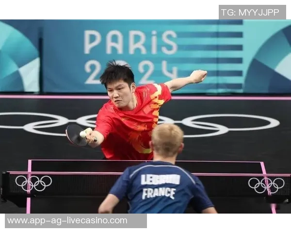 波尔与樊振东巅峰对决乒乓球赛场谁能笑到最后的精彩较量