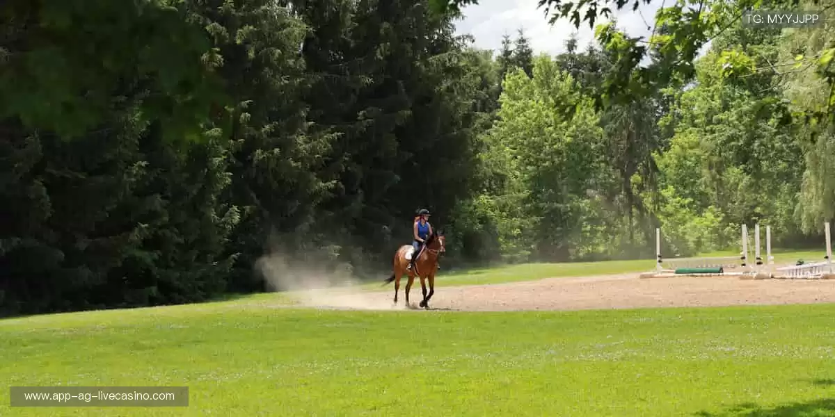 精彩瞬间,即刻拥有📸